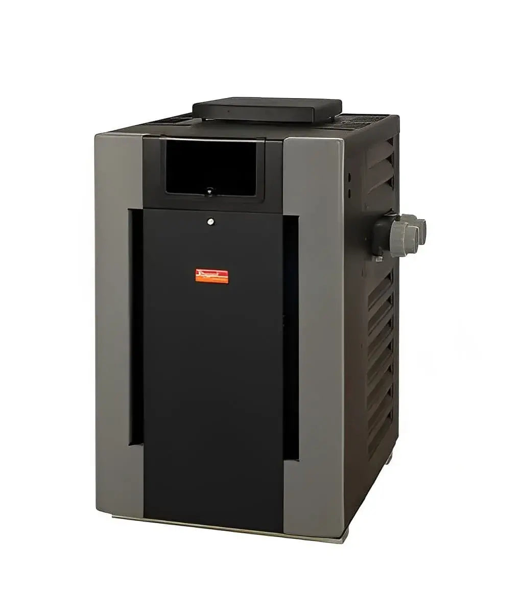 Calentador para alberca Raypak P-R266A E de gas natural